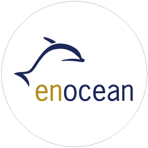 KNX supervisor multiprotocol system - enocean