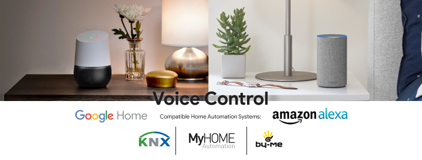 Alexa Google Home Vimar BTicino voice control