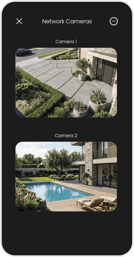 Network cameras with two live streams